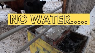How Clint fixed the frozen Cattle Water. North Dakota Weather…… by All Stock Hay  349 views 1 year ago 5 minutes, 34 seconds