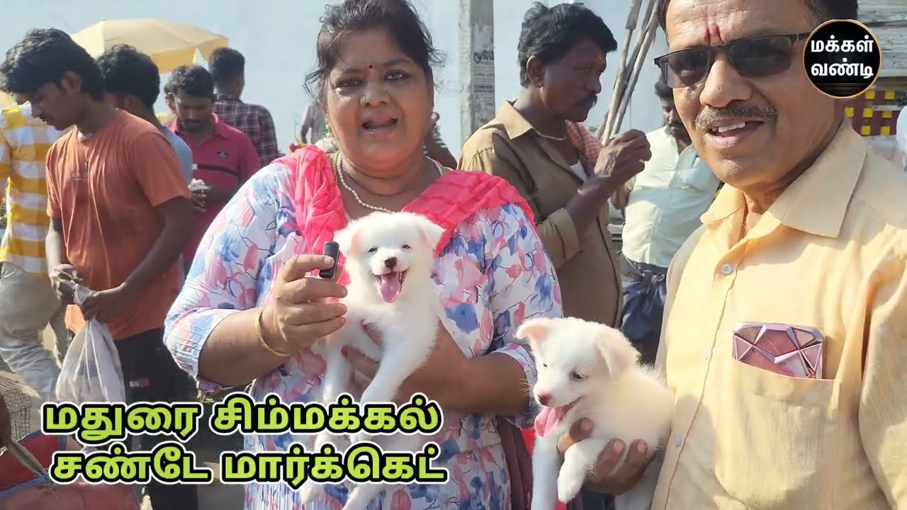 மதுரை சிம்மக்கல் சண்டே மார்க்கெட் வாரந்தோறும்#மதுரை #சிம்மக்கல்