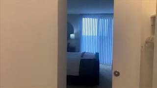 Virtual Tour of the Seven 46 One Bedroom Floor Plan at ReNew Wheaton Center