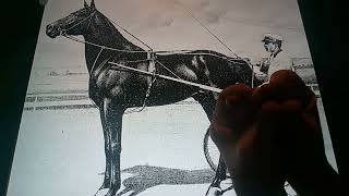 Horacio the handsnake - Dan Patch the racehorse