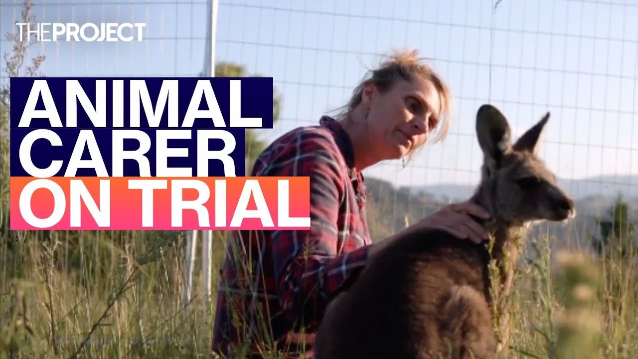 Animal Cruelty Conviction Impacts Volunteers - YouTube
