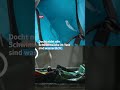 Welcher Drybag hält wirklich dicht? 🏊‍♀️🌊 | #Kassensturz | #Shorts