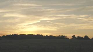Ott - 16mm Summer Day