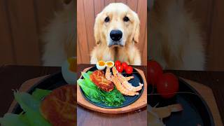 “Fine Dining Isn’t Just for Humans 🍤” #shorts