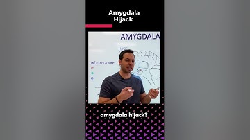 Amygdala Hijack