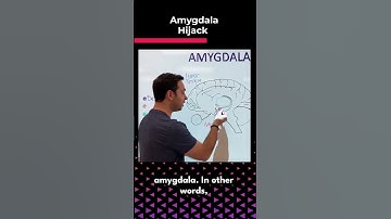 Amygdala Hijack