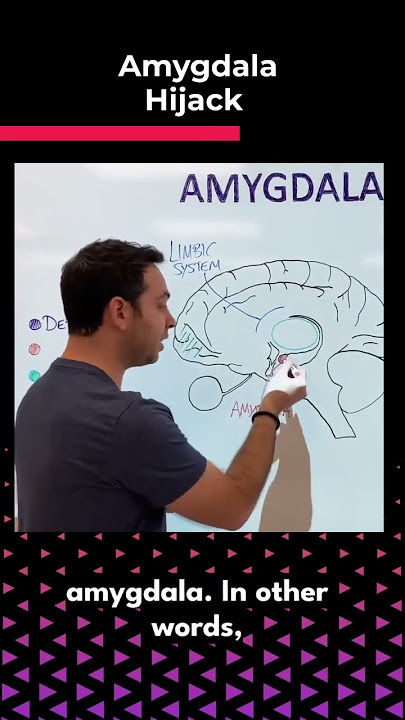 Amygdala Hijack