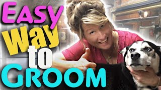 La forma más fácil de cuidar a tu perro en casa screenshot 5