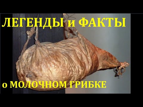 История Тибетского молочного гриба. История кефира. Происхождение кефирного грибка. 2 ч.