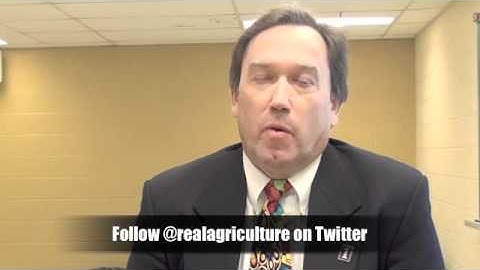 Corn School 1-10: Nitrogen Application Critical in Unlocking Corn Yields