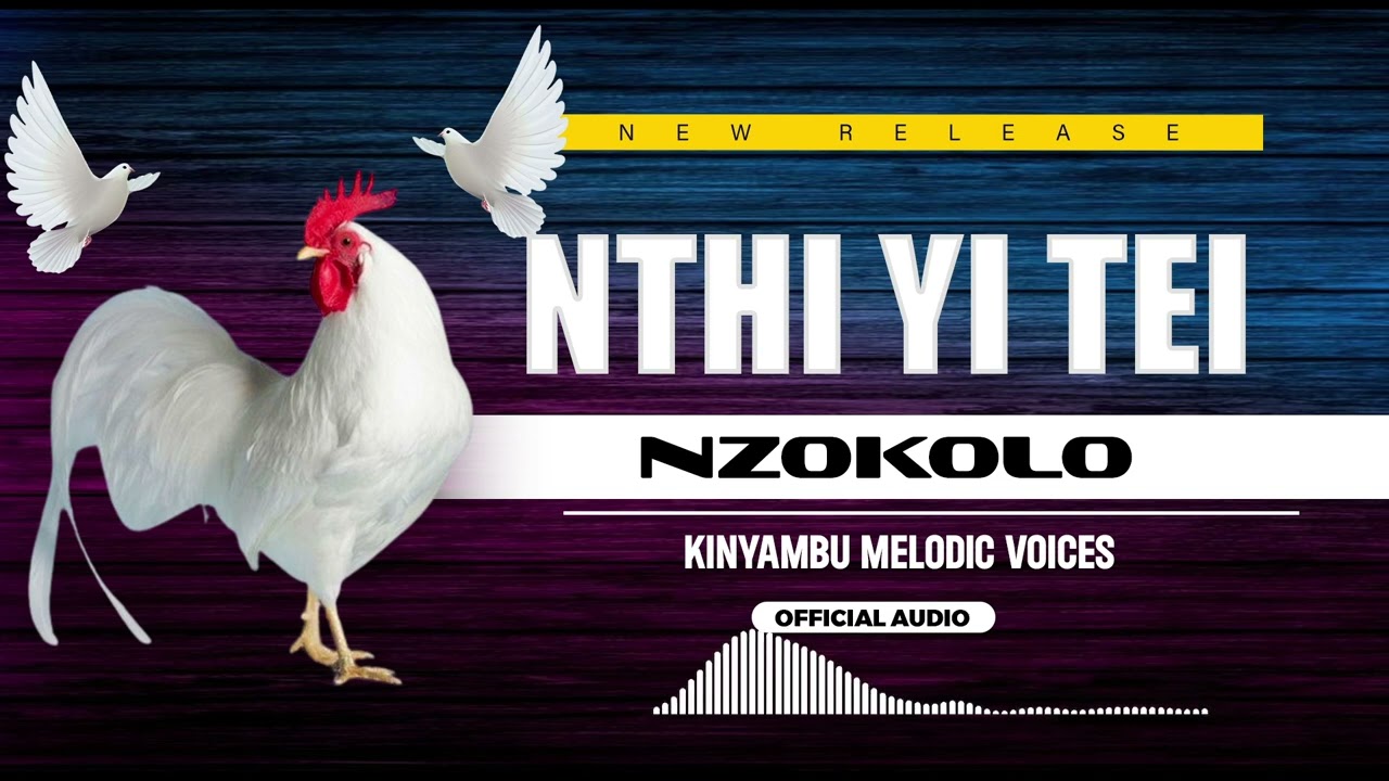 Nzokolo - Nthi Yi Tei (Official Audio)