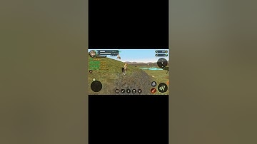 The Cheetah game part 1