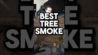 BEST Tree Smoke on Cache in CS2