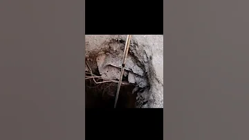 لماذا لم ينقذو الطفل ريان من الحفرة التي سقط منها Shorts 
