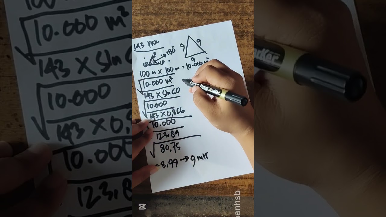 Cara Menentukan Jarak Tanam Kelapa Sawit #sawit #jaraktanam