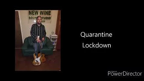The Pandemic 2020-2022 According to Donny McLees [...