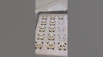 What I learned from macaron baking class