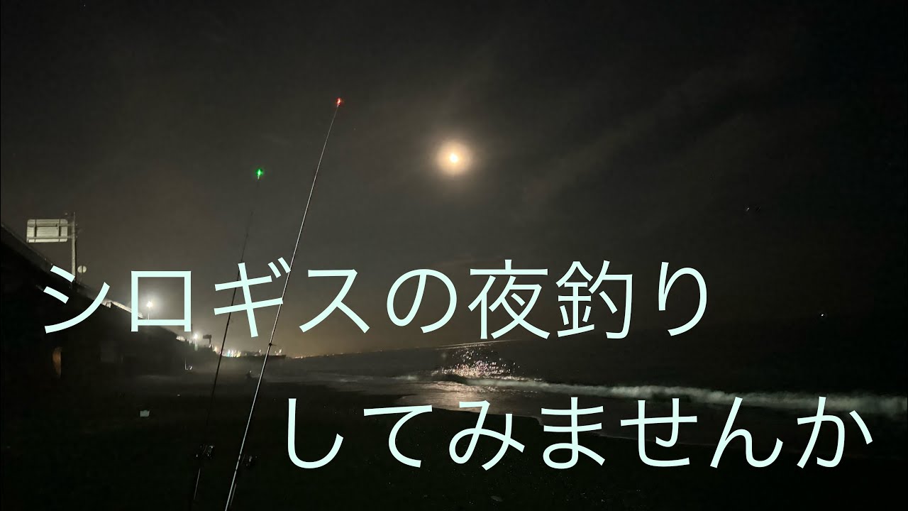 シロギスの夜釣りやってきました　No.５０