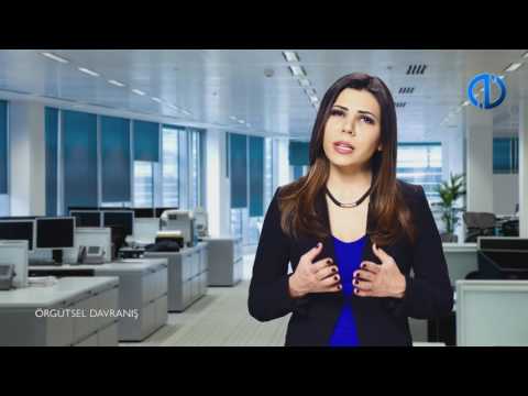 ÖRGÜTSEL DAVRANIŞ - Ünite 8 Konu Anlatımı 1