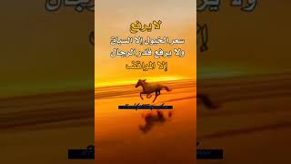 حالات -قصيرة - للواتس اب