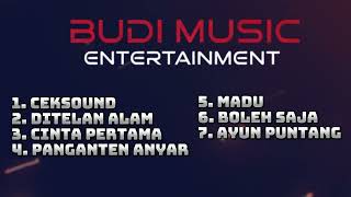 FULL ALBUM BUDI MUSIC || LUMBUNG GIRANG - LUMBUNG || DHEFARA AUDIO
