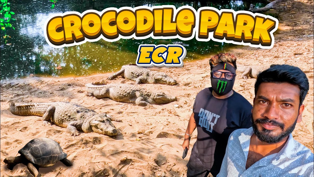 Chennai Crocodile Park at ECR! 🌊muthalai pannai🐊 friends meetup