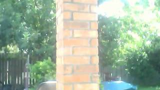 Capture 20100808 1