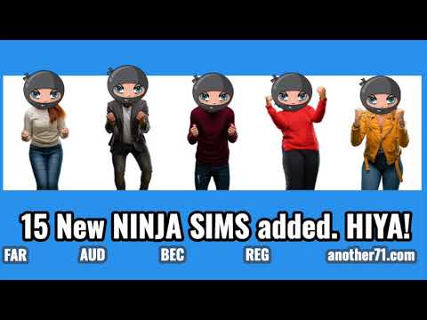 15 New CPA Exam Simulations - NINJA MCQ | CPA Review | Another71