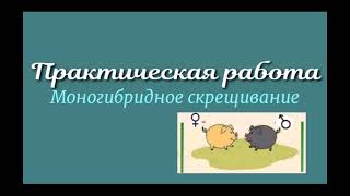Практическая работа &quot;Моногибридное скрещивание&quot;| БИОЛОГИЯ