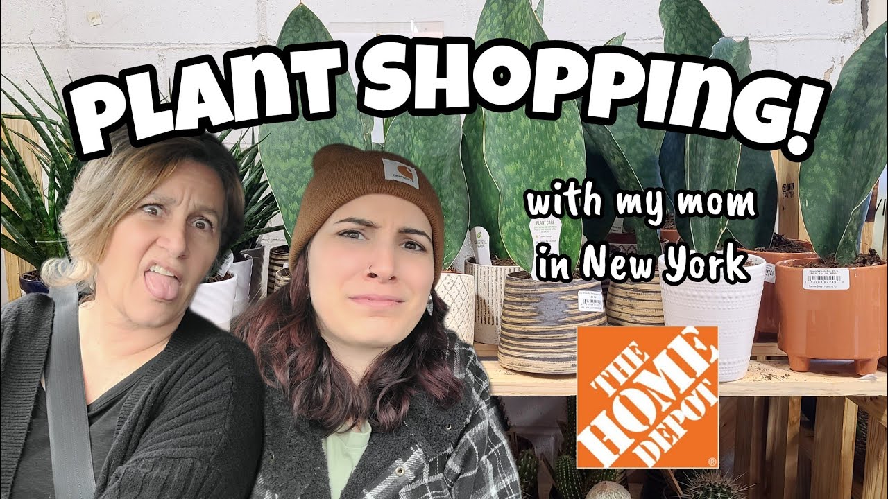 SANSEVIERIA WHALE FINS AT HOME DEPOT!! + Nursery Plant Shopping in New York 🌿 things were pretty bad