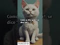 Aprende animales en ingles #aprender #ingles #estudiantes #animales #animals #animal #inglesonline