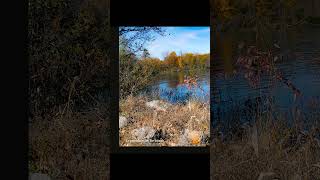 Another Day In Paradise