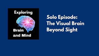 The Visual Brain Beyond Sight