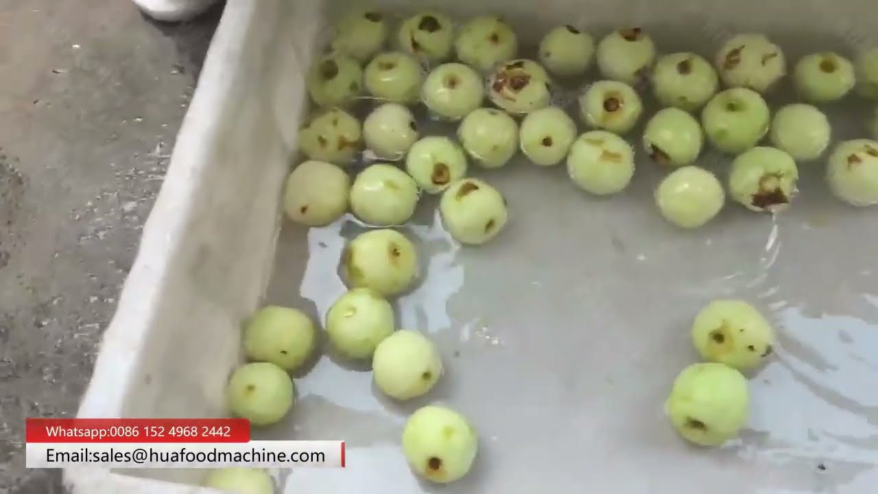 Jujube Peeler Machine - Achieve Peel Jujubes Fast!