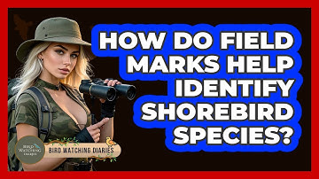 How Do Field Marks Help Identify Shorebird Species? - Bird Watching Diaries