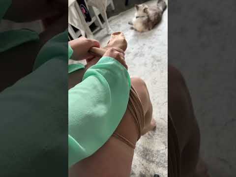 Another Day Another Tights Try On