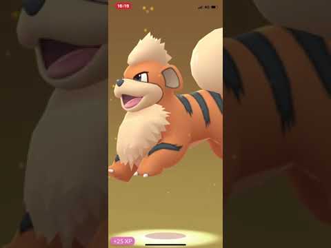 ポケモンGO 卵割り　スランンプ＞＜