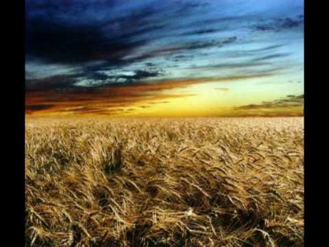 Ginger Ale — Ginger Ale - un été dans le vent