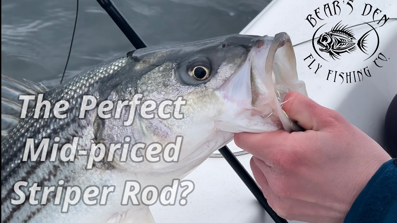 An on the water fly rod test with the G. Loomis Imx-Pro V2S, fishing for  early season striped bass. 