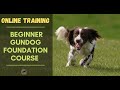 Beginner gundog online training