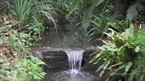 خالد الجليل تلاوة عراقية خيالية فاقت الوصف وعباد الرحمن الذين يمشون على الأرض هونا YouTube