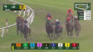 Vidéo de la course PMU OFANTUN H.