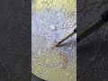 自分だけの星、なんて憧れませんか？