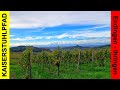 Herbstliche Wanderung auf dem Kaiserstuhlpfad von ENDINGEN-IHRINGEN (21,7 km) 🦿🦿👀