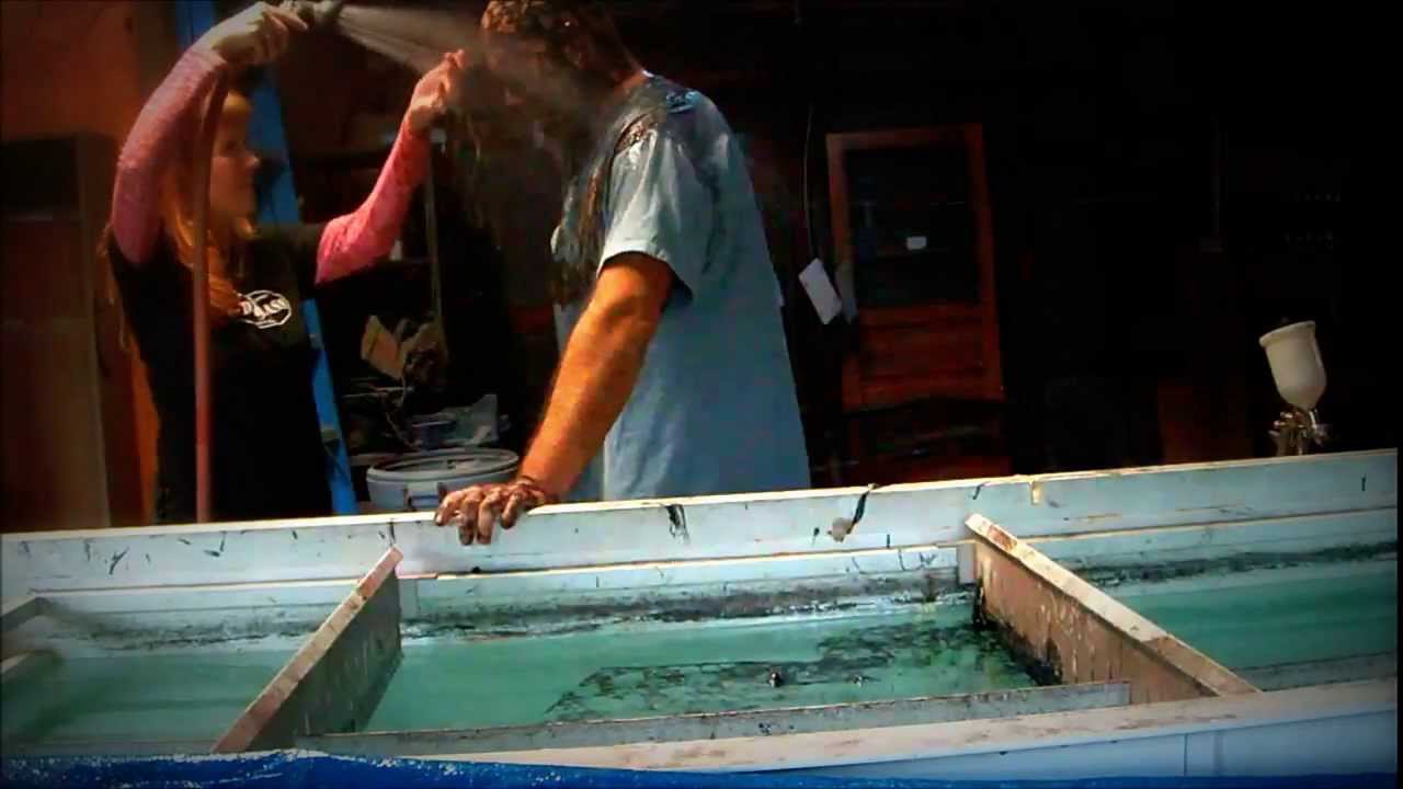 HYDROGRAPHIC NUGGET (dipping my bald head in skullz pattern)