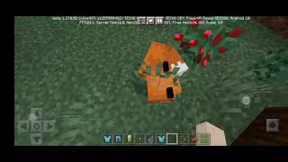 Sleeping Fox In Minecraft