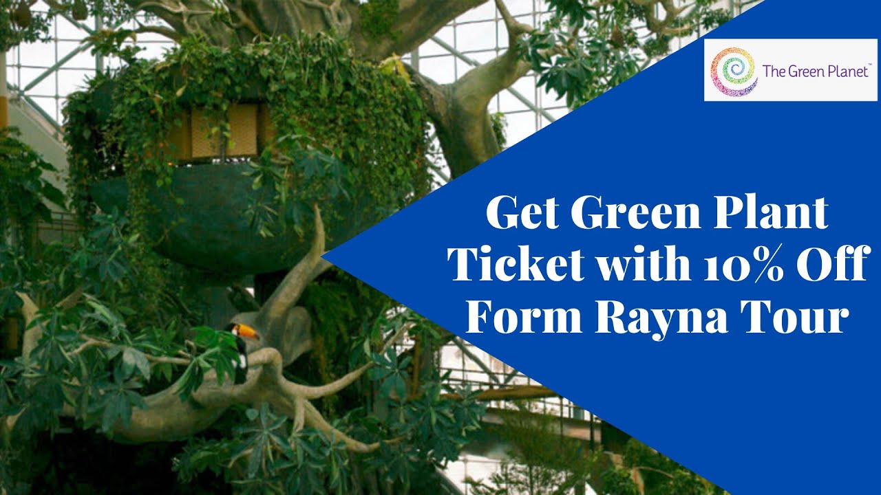 How to get Green Promo Code? YouTube