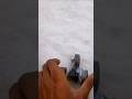 How to make remote control car #diy #experiment #ideas #minicar