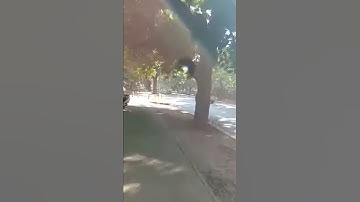 Ignou Solved Assignment MST 1 2018-19