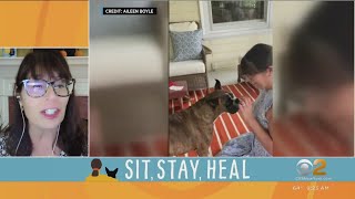 Cancer survivor writes book about how dogs helped her heal